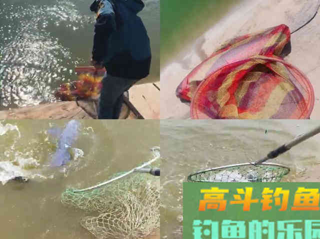 作钓时碰到青鱼打桩，导致断杆切线，有效应对技巧