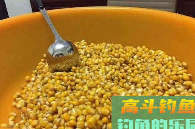 热天唯独这草鱼钓法才霸道，莫不信，用过的人不简单