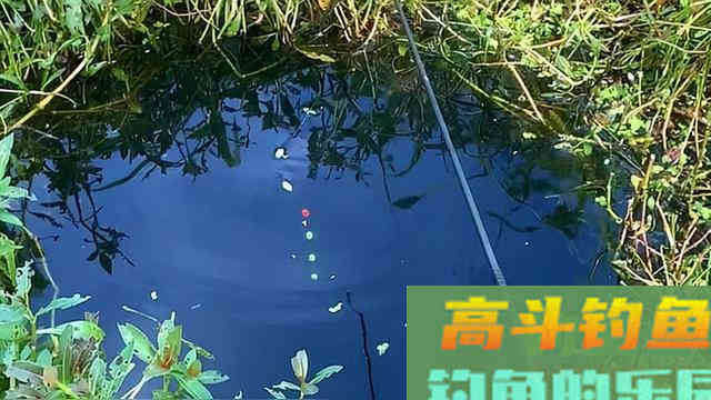 天气转凉降温后,鲫鱼应该怎么钓 天气转凉降温后,鲫鱼应该怎么钓