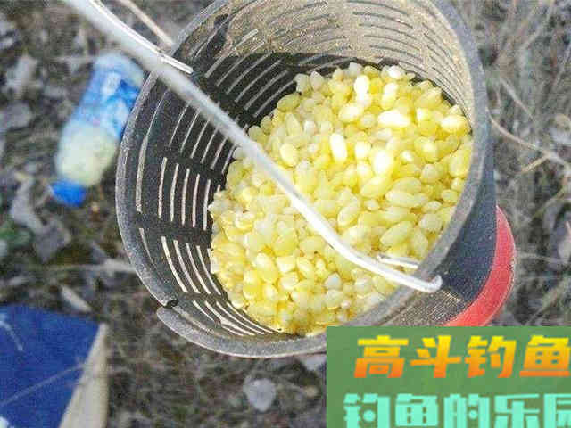 冬季钓鲫鱼，掌握这些技巧，渔获不发愁