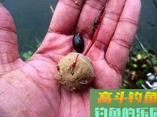 钓鲤效果不佳,不妨试试海竿加爆炸钩 钓鲤效果不佳,不妨试试海竿加爆炸钩