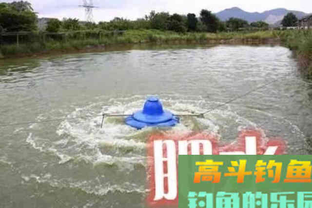 气温越来越高，大板鲫却越来越难钓？原因其实很简单