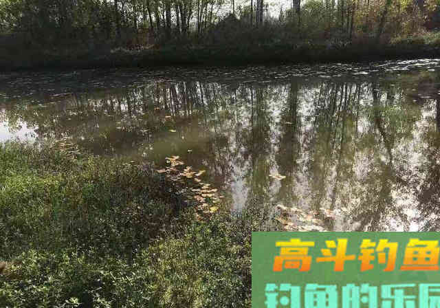 冬季钓鲫鱼,钓位选择很重要,这些选位技巧要知道 冬季钓鲫鱼,钓位选择很重要,这些选位技巧要知道