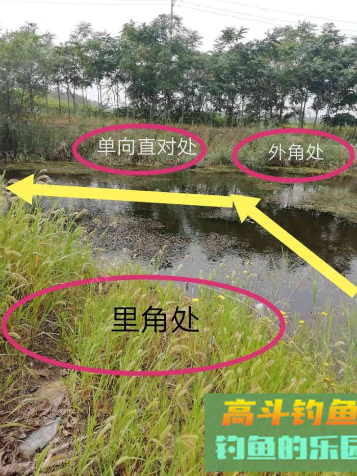 野钓策(20)小微水体野钓鲫鱼选位比对 野钓策(20)小微水体野钓鲫鱼选位比对