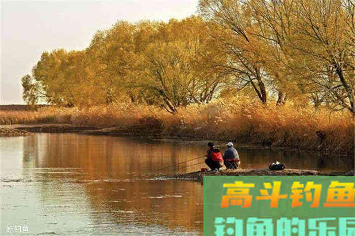 学了这三个技巧，深秋一样能野钓大鲫鱼