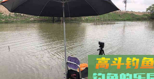 夏季鲢鳙怎么钓？掌握鱼情、水情、钓深、钓浅等
