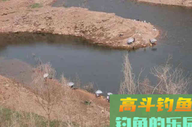 不管在哪,大板鲫只要按我说的钓狂拔连杆 不管在哪,大板鲫只要按我说的钓狂拔连杆