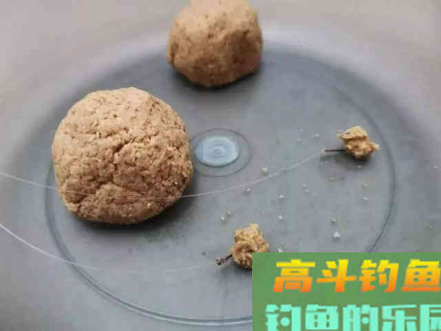 野外钓鲫鱼,怎么选鱼钩 野外钓鲫鱼,怎么选鱼钩