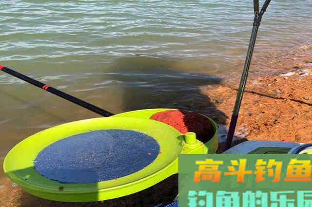 秋末要想钓好鲫鱼，建议你看看这篇文章，助提升渔获