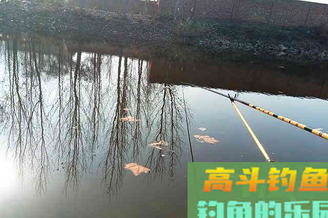 冬季鲫鱼虽然开口，但不注意这3点，钓不到也正常