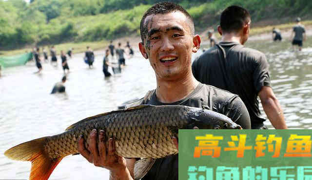 秋季钓鲫鱼为什么会空军？