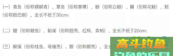 鲫鱼小于10厘米，超过10条就必须放流，未来野钓应该怎么办