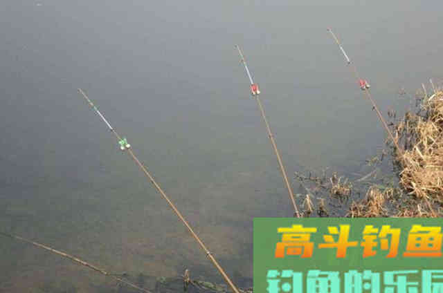 五月了,大板鲫只需照我说的钓,鱼护爆满 五月了,大板鲫只需照我说的钓,鱼护爆满