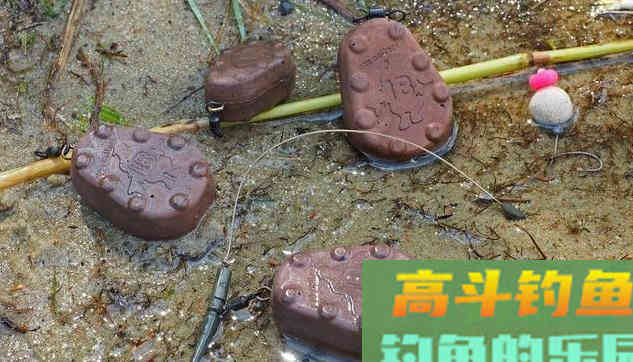 源于英国的鲤鱼钓法,为什么针对国内大鱼也有效 源于英国的鲤鱼钓法,为什么针对国内大鱼也有效