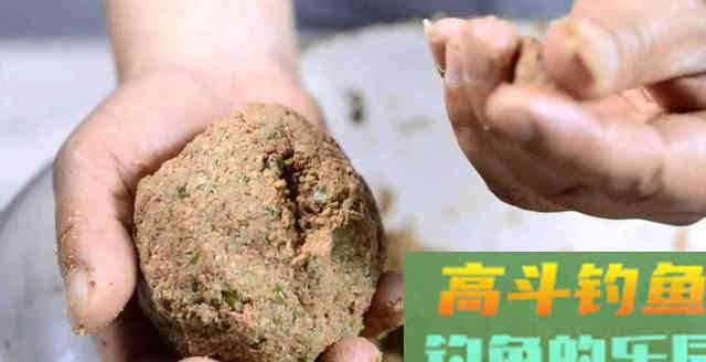 为什么冬钓鲫鱼总是空竿? 为什么冬钓鲫鱼总是空竿?