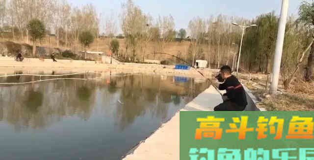 根据青鱼新鱼特点,分析鱼情合理选择正确钓法 根据青鱼新鱼特点,分析鱼情合理选择正确钓法