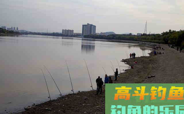 湖库江河中如何用海竿垂钓鲤鱼?谈技巧和装备选择 湖库江河中如何用海竿垂钓鲤鱼?谈技巧和装备选择