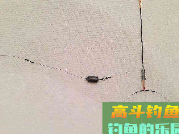 钓鲢鳙为什么老是锚鱼？我来告诉你真相