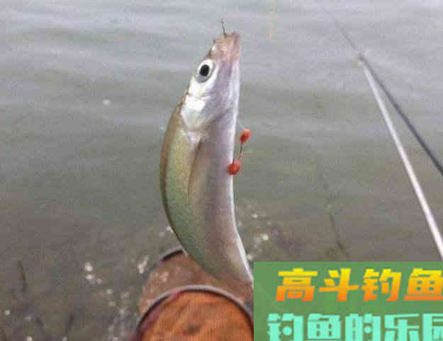 都说刷白条容易，不注意这些细节一样白搭