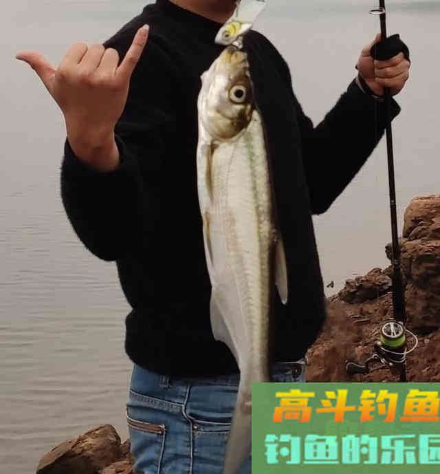 冬季路亚钓鱼,倒钓法野钓翘嘴鱼 冬季路亚钓鱼,倒钓法野钓翘嘴鱼