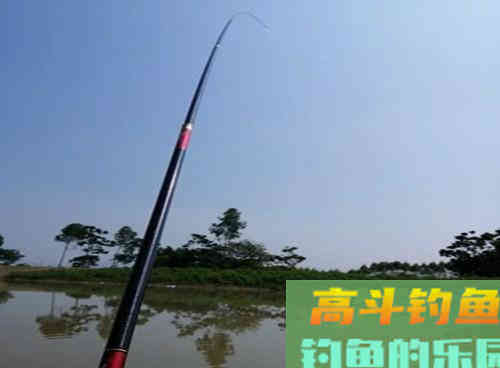 深秋降温还能不能钓到野生鲤鱼?老钓友教你两招,深秋野钓上鲤鱼 深秋降温还能不能钓到野生鲤鱼?老钓友教你两招,深秋野钓上鲤鱼