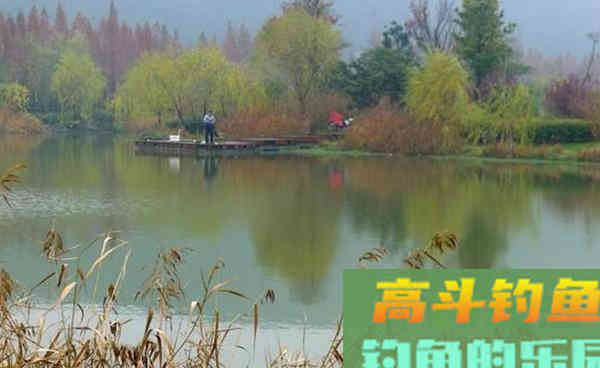 秋季野钓大鲫鱼,天气钓组打窝等技巧 秋季野钓大鲫鱼,天气钓组打窝等技巧