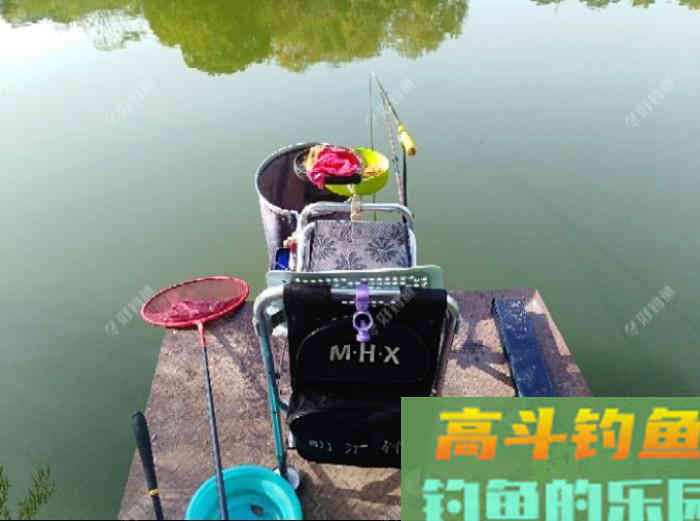初冬钓大鲫体会，从四个方面解析，教你钓大鲫鱼