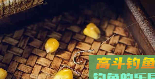 草鱼为何难钓?分析原因从它的生活习性入手 草鱼为何难钓?分析原因从它的生活习性入手