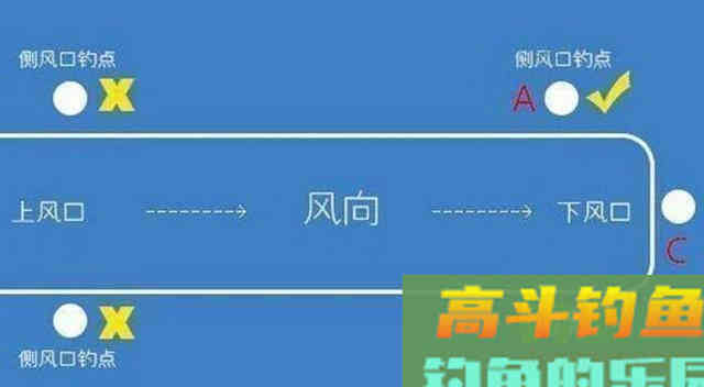 青鱼应分析水中氧含量与鱼情之间的关系,选择作钓位置 青鱼应分析水中氧含量与鱼情之间的关系,选择作钓位置