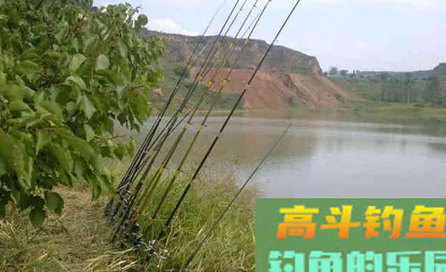 秋季野钓草鱼,用串钩钓浮别钓底 秋季野钓草鱼,用串钩钓浮别钓底