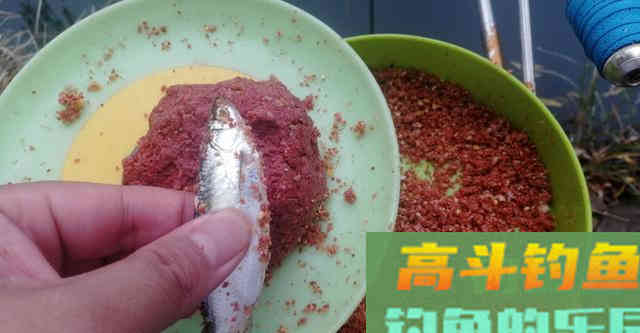 白条学会这样钓，直接拉到手软