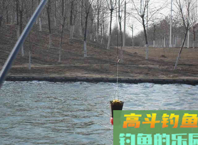 早、少、轻、准、多,做到这五点,天再冷,大鲫也排着队进窝 早、少、轻、准、多,做到这五点,天再冷,大鲫也排着队进窝