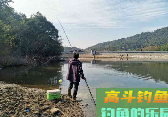 谁说冬季钓鱼必须钓深?这种几十公分的浅滩照样能上大鲫鱼 谁说冬季钓鱼必须钓深?这种几十公分的浅滩照样能上大鲫鱼