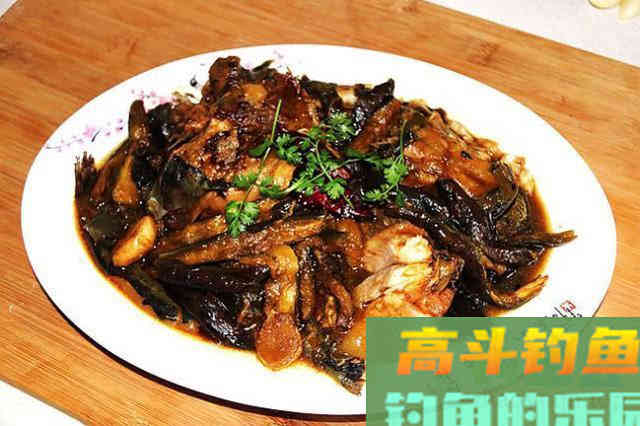 鲶鱼是否也适合路亚钓法？路亚鲶鱼掌握这4点很重要