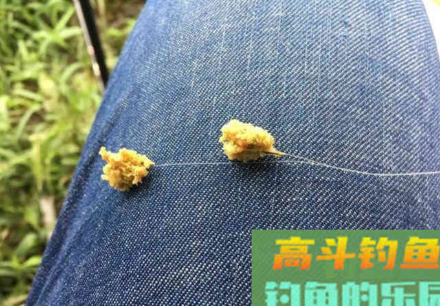 野钓鲫鱼调漂方法 野钓鲫鱼调漂方法