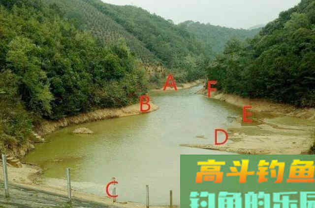 草鱼这个钓法最近火了，简单易上手，新手一学就会