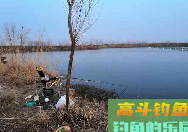 长江钓鱼，野钓鳊鱼分析教学，钓获20多斤野生鳊鱼和鲫鱼