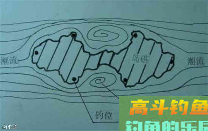 秋季大鲤怎么钓?三招让你十拿九稳 秋季大鲤怎么钓?三招让你十拿九稳