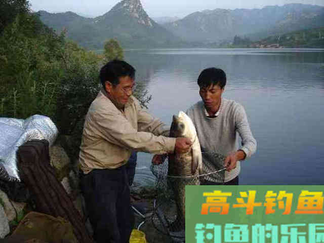 从3个方面掌握手竿钓鲢鳙的技巧，以后越钓越多