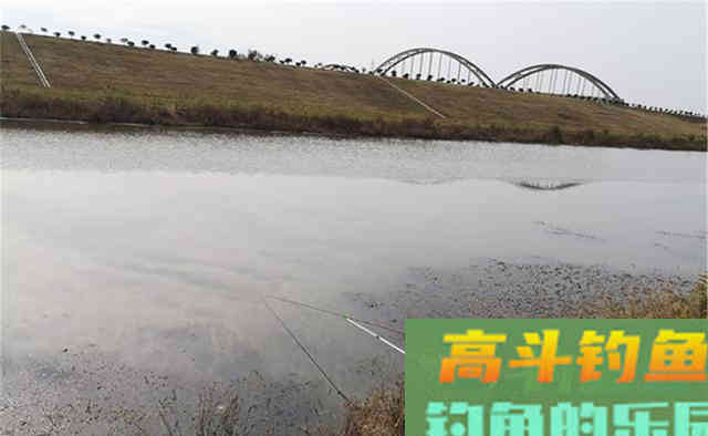 入冬钓鲫鱼,这些浅水位置就有鱼窝 入冬钓鲫鱼,这些浅水位置就有鱼窝