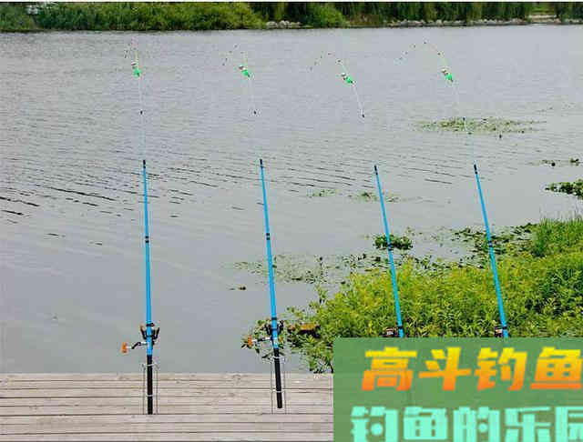 老钓友冬季都在使用的钓鲫鱼方法，装备简单无需打窝