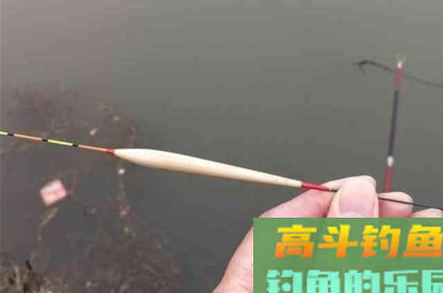 刚到六月,我就只想用这鲢鳙钓法 刚到六月,我就只想用这鲢鳙钓法