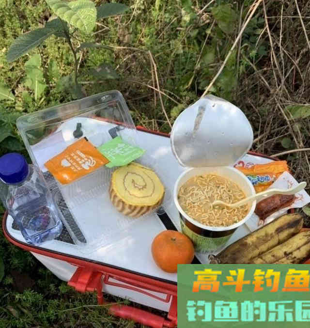 亮水草窝钓鱼，10米炮竿作钓鲫鱼，钓获30多条野生鲫鱼