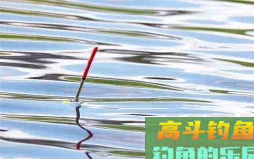 野钓鲫鱼频繁脱钩，和带不带倒刺无关，是几种原因