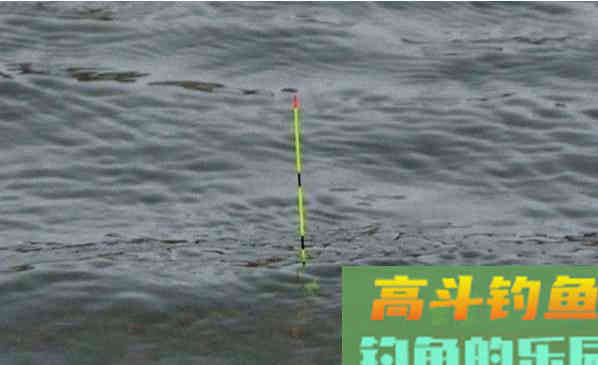 野钓鲫鱼频繁脱钩，和带不带倒刺无关，是几种原因