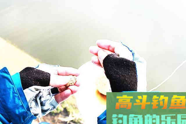 冬季降温后钓鲫鱼,为什么不建议钓钝,只因这5点 冬季降温后钓鲫鱼,为什么不建议钓钝,只因这5点
