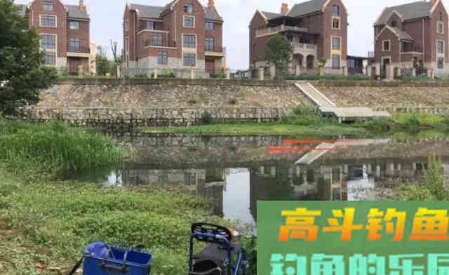 天气越冷钓鱼越要找这种地方，鲫鱼最喜欢躲在其中