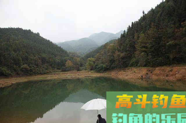 冬钓鲫鱼心得分享,掌握这些可提升渔获量 冬钓鲫鱼心得分享,掌握这些可提升渔获量