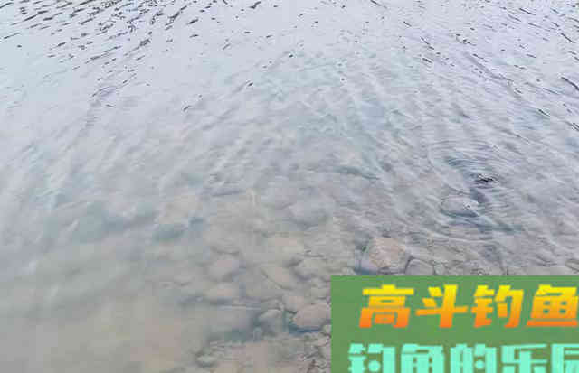 如何钓鲤鱼 如何钓鲤鱼