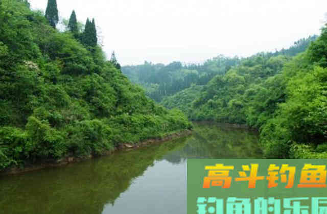 手竿如何垂钓大头鱼,4个方面重点就是饵要轻雾化好 手竿如何垂钓大头鱼,4个方面重点就是饵要轻雾化好
